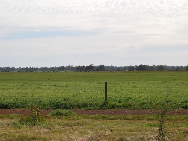 FANTASTIC LOT OVERLOOKING FARMLAND Picture 1