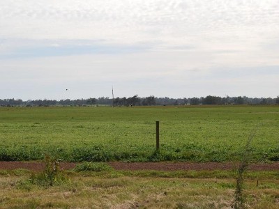 FANTASTIC LOT OVERLOOKING FARMLAND Picture FANTASTIC LOT OVERLOOKING FARMLAND Picture