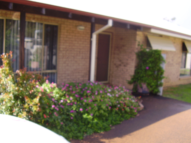 A MUST SEE! Picture 1