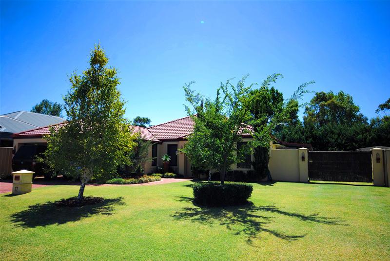 THE WOW FACTOR Picture 1