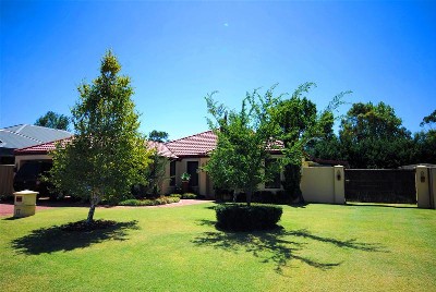 THE WOW FACTOR Picture