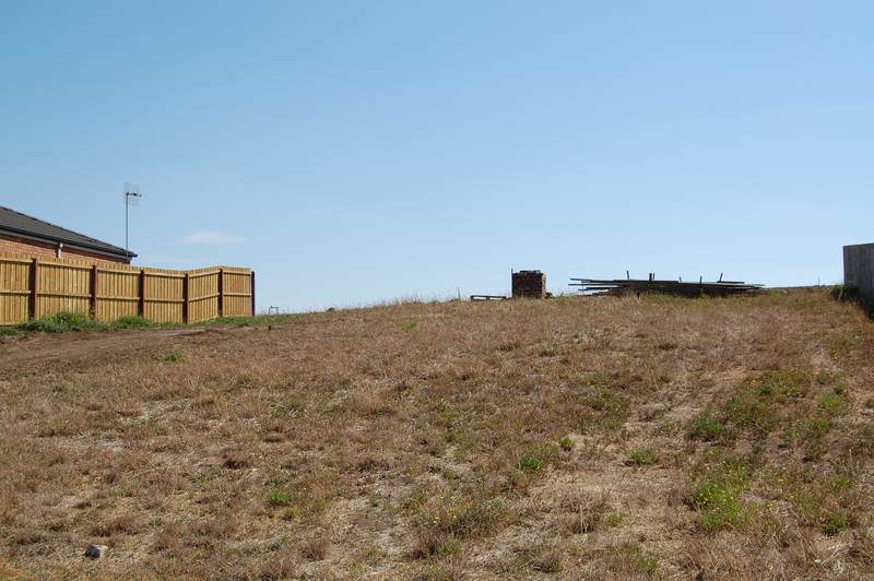 Are You Looking? Picture 1