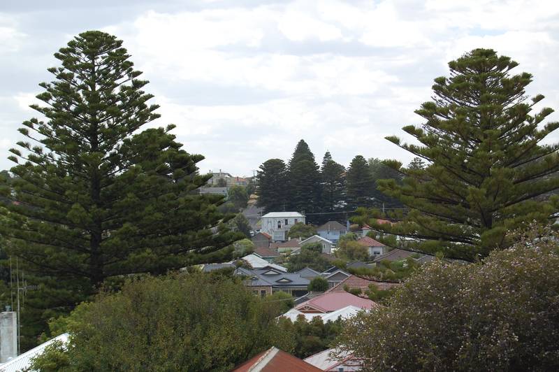 Central Location Picture 2