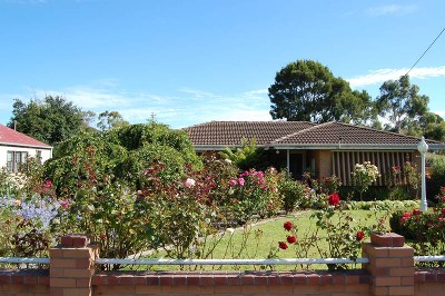 So Many Choices Picture