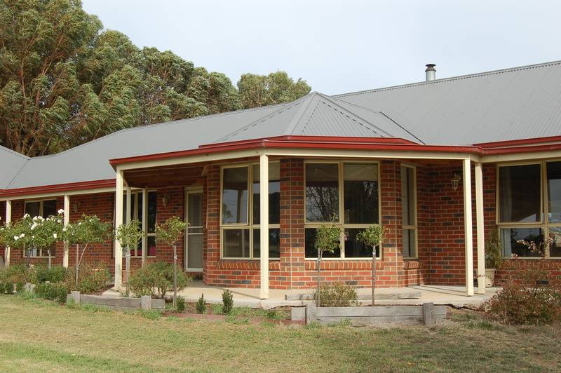 Bushfield Beauty Picture 1