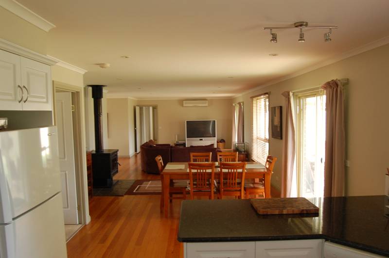 Bushfield Beauty Picture 3