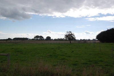 Room For The Horses Picture Room For The Horses Picture