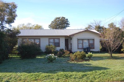 A Great Beginning Picture