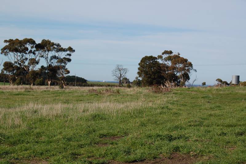 Whistle Dixie Picture 3