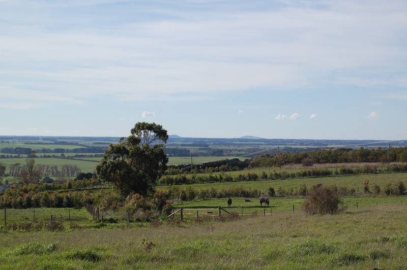 Whistle Dixie Picture 2