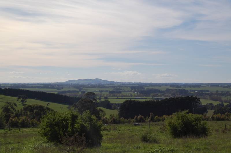 Whistle Dixie Picture 1