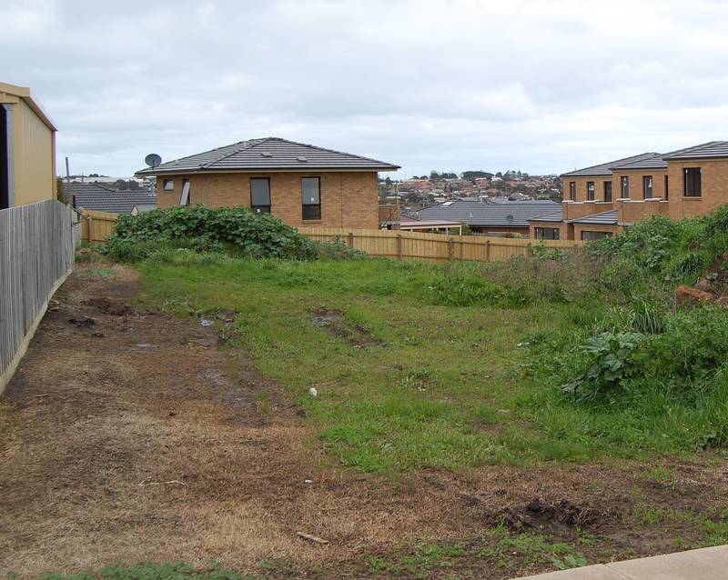 AUCTION POSTPONED Picture 1