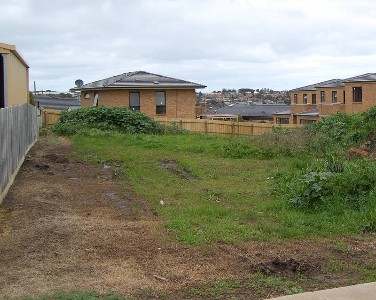 AUCTION POSTPONED Picture