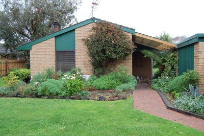 Magic Moonah Picture