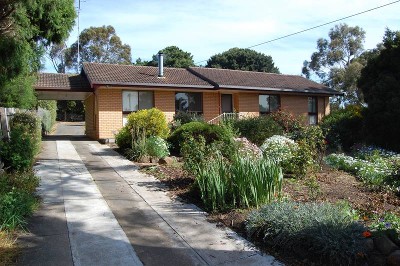 Bang For Your Buck Picture