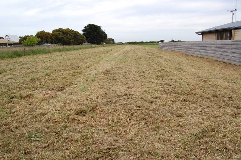 Prime Position-Large Allotment Picture 1
