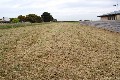 Prime Position-Large Allotment Picture