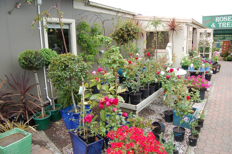 What a Great Opportunity!!!! Picture 3