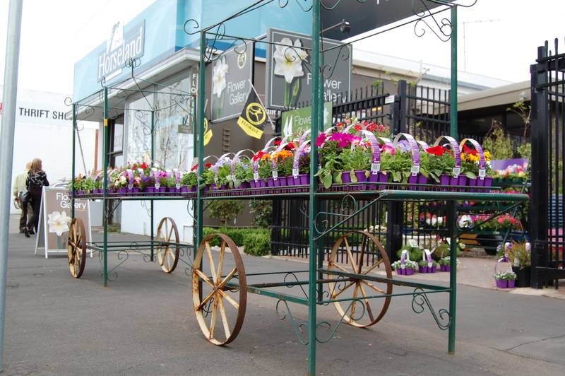 What a Great Opportunity!!!! Picture 2