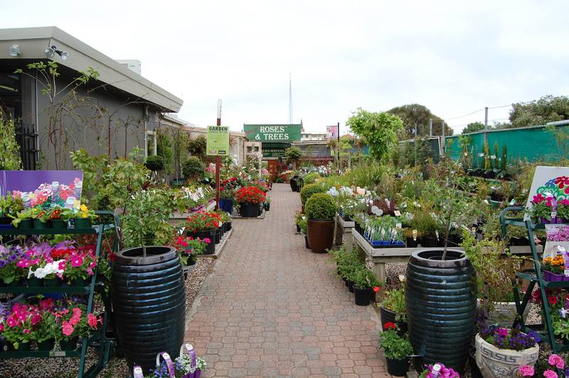 What a Great Opportunity!!!! Picture 1