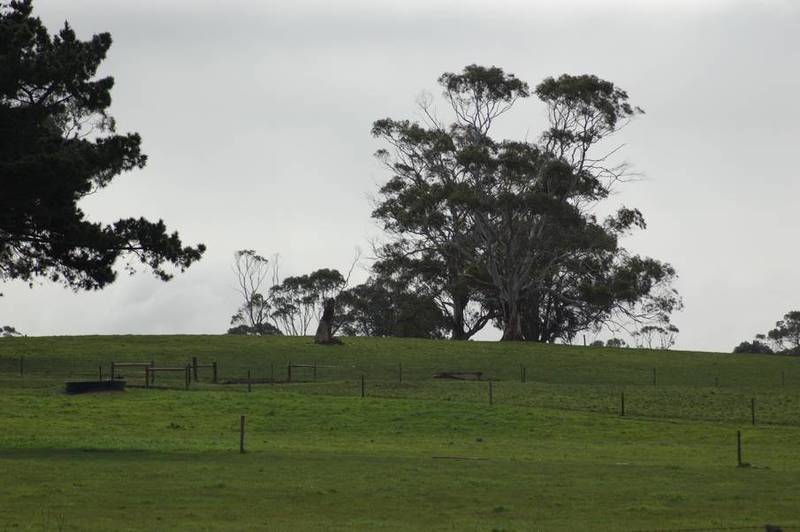 Awsome Acres Picture 2