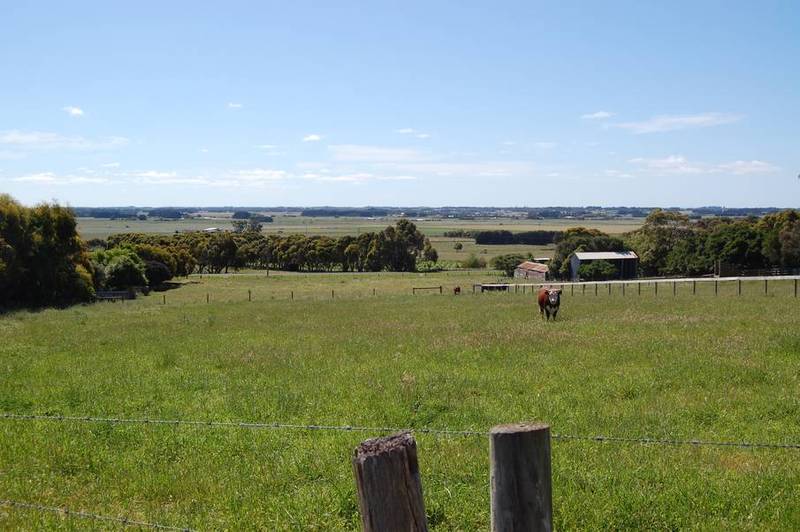 ONCE IN A LIFETIME Picture 2