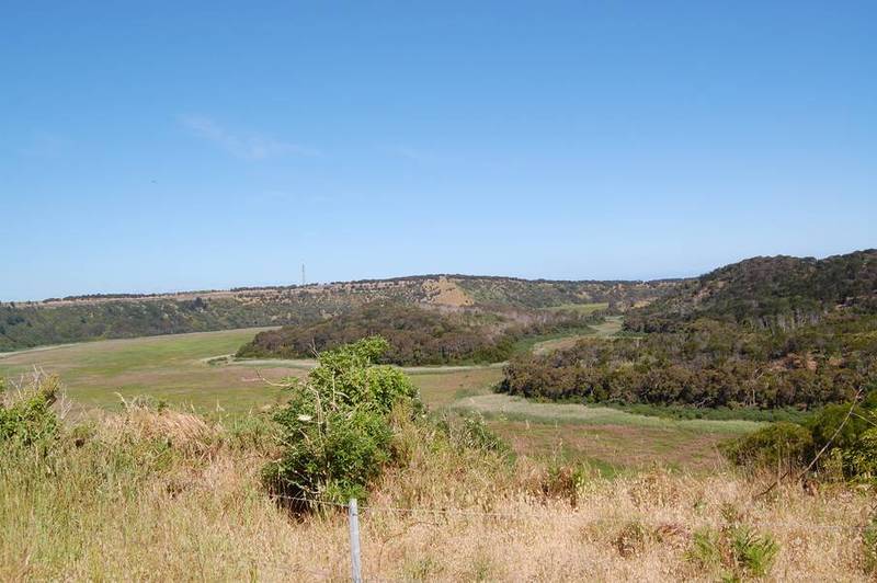 ONCE IN A LIFETIME Picture 3