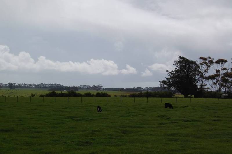 Lifestyle Plus More Picture 1