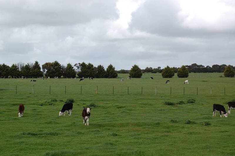 Lifestyle Plus More Picture 2