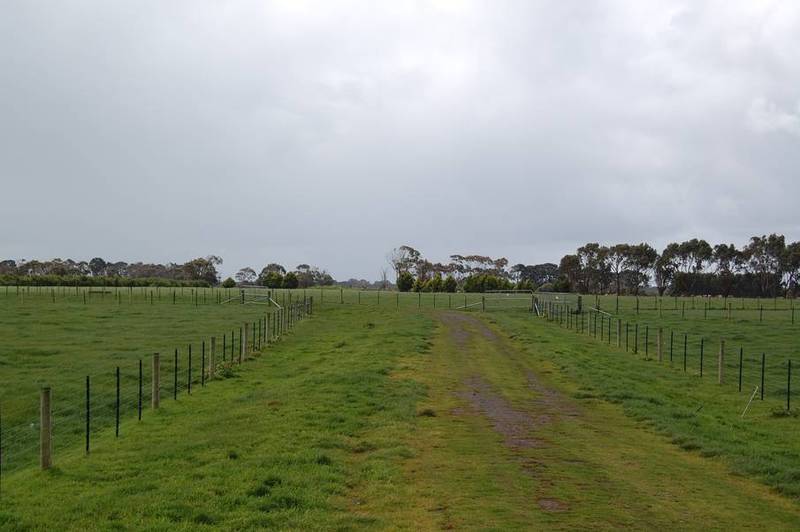 Lifestyle Plus More Picture 3