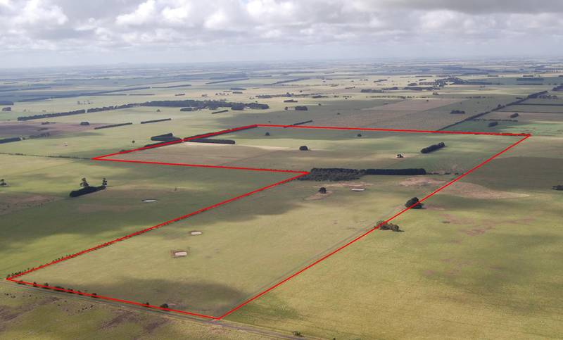 Prominant Position Picture 1