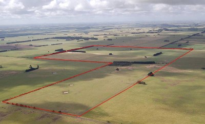 Prominant Position Picture