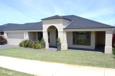 ONE LOOK WILL DO Picture