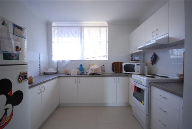 Unique Unit Picture 3