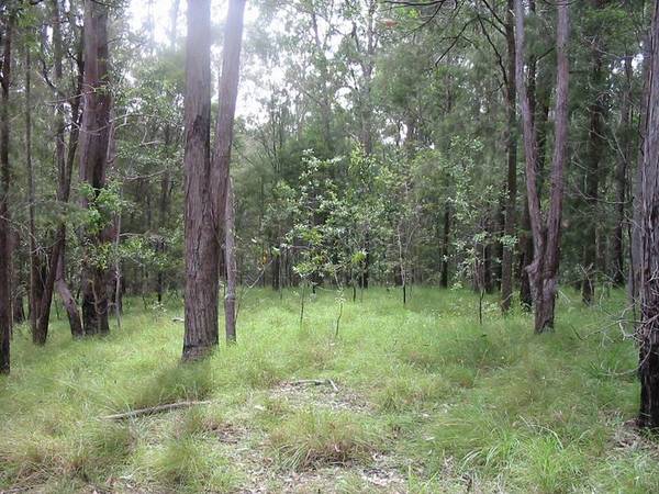 8 Acre Bush Beauty Picture 2