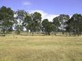 NEW ENGLAND HIGHWAY SUBDIVISION Picture