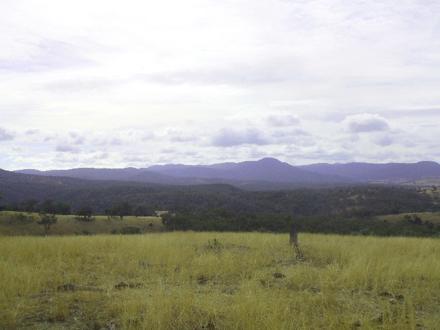 'Yellowbank' Picture 3
