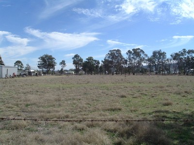 Two Vacant Blocks Picture