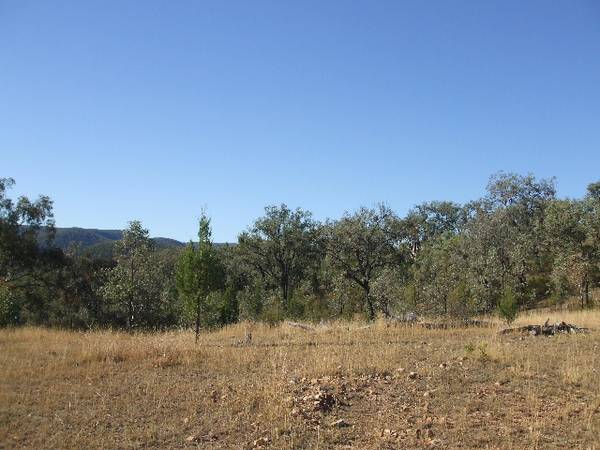 Panoramic Views Picture 2