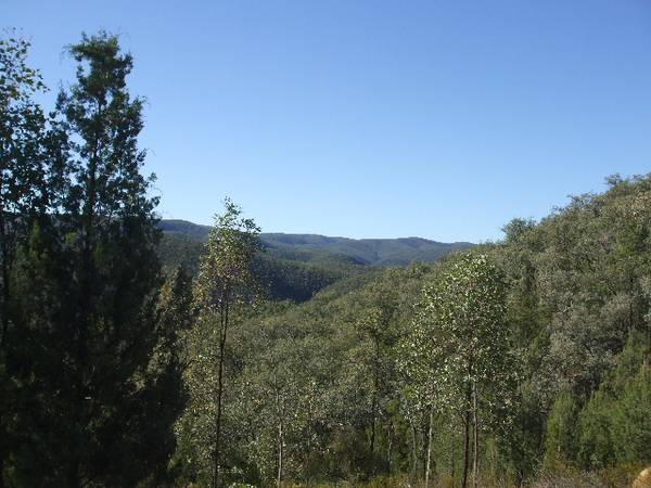 Panoramic Views Picture 3