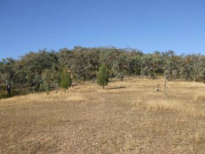 Panoramic Views Picture