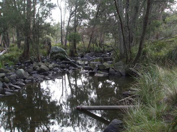 Lyndonvale Picture 2