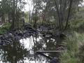 Lyndonvale Picture