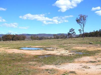 Country Lifestyle Block Picture