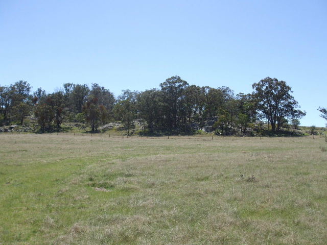 Sound Grazing Property Picture 3