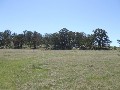 Sound Grazing Property Picture