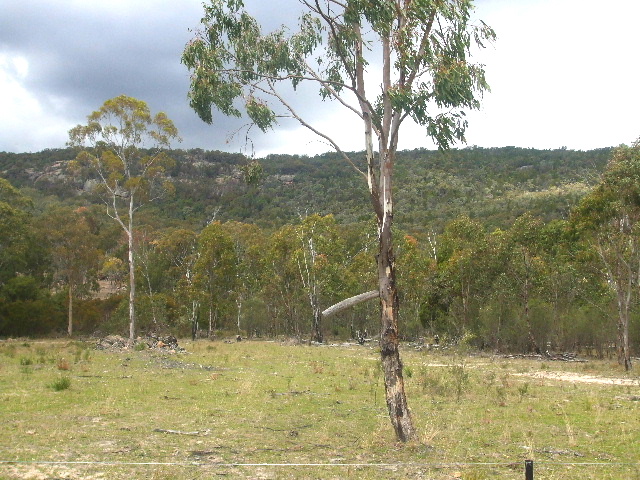 Woodside Road Property Picture 3