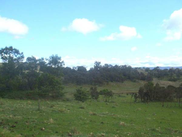 Woody Glen Picture 1
