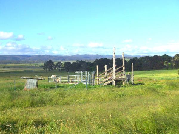 Minutes from Town Picture 1