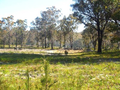 Spring Creek Property Picture